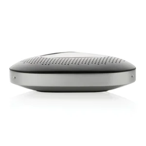 Alternative view of Conference call speaker