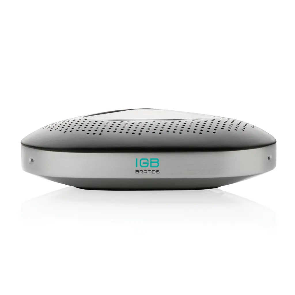 Alternative view of Conference call speaker