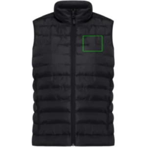 Borst links (100 x 20 mm)