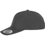 Pet Nu Snapback
