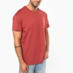Heren T-shirt Bio190 IC