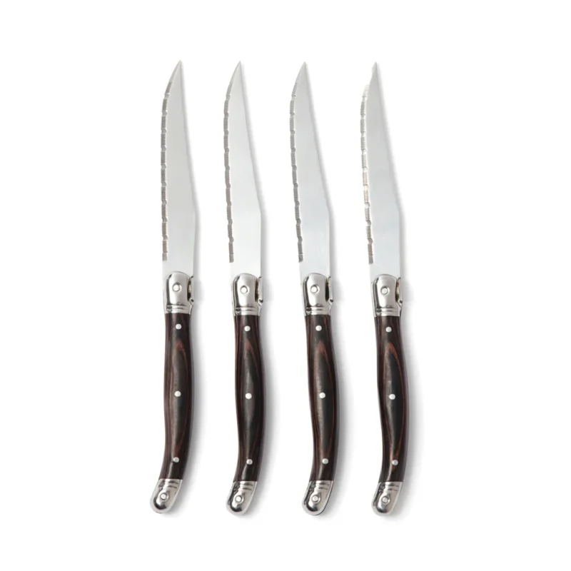 VINGA Gigaro steakmessenset staal