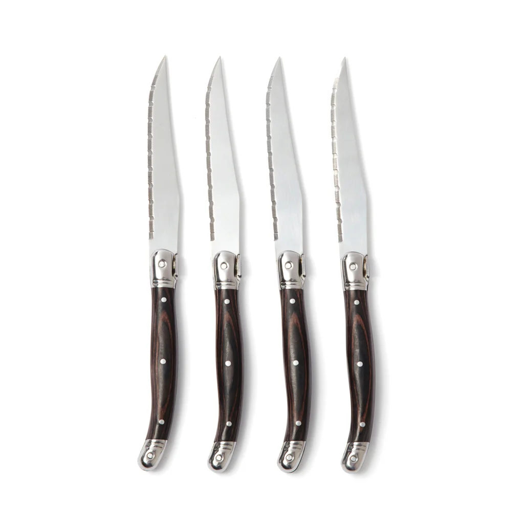 VINGA Gigaro steakmessenset staal