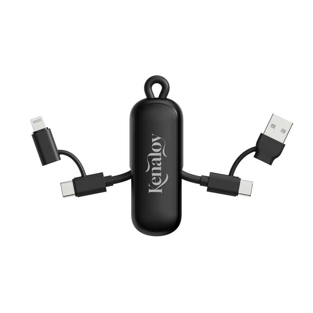 Urban Vitamin Dublin 100W 4 -in-1 keychain cable