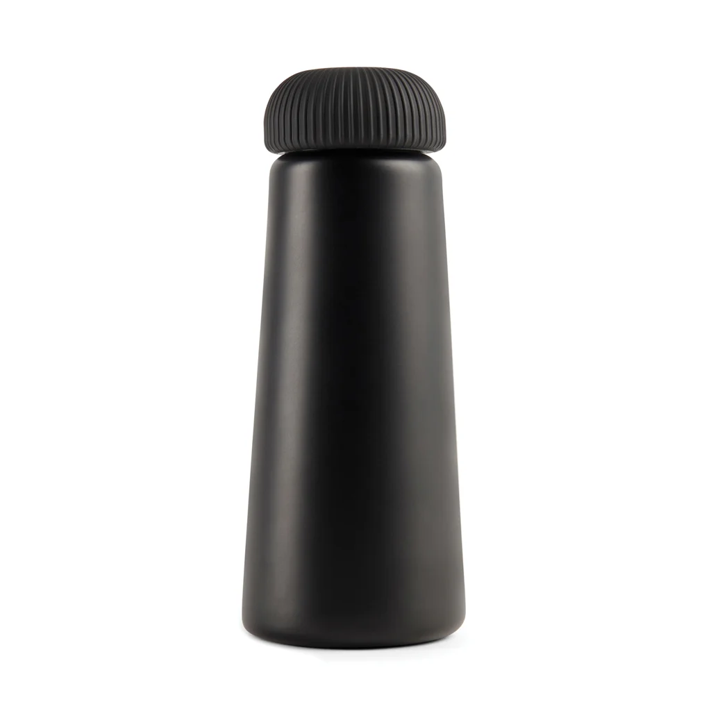 VINGA Erie RCS stalen vacuümfles 450ML zwart
