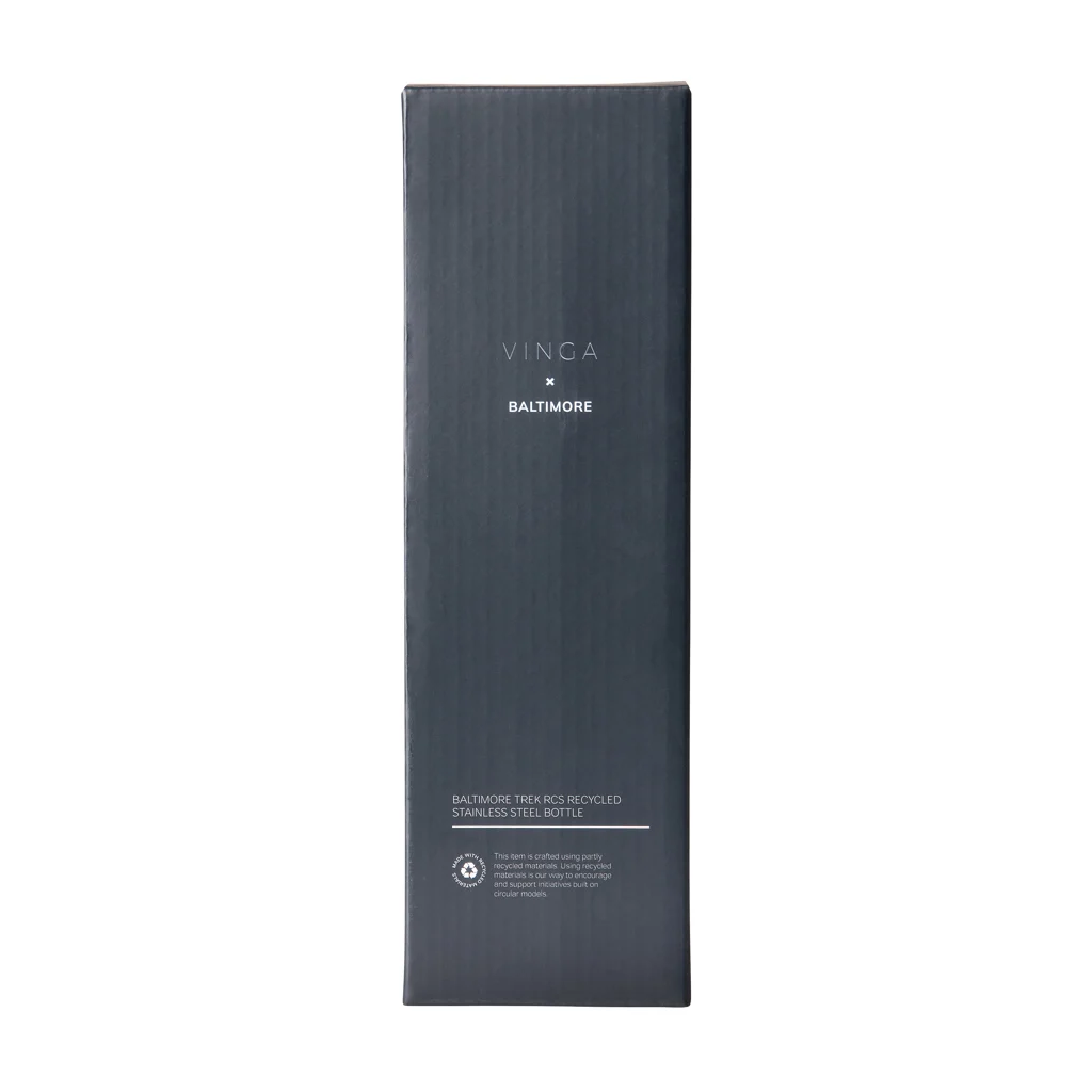 VINGA Baltimore Trek RCS recycled SS fles 600 ML