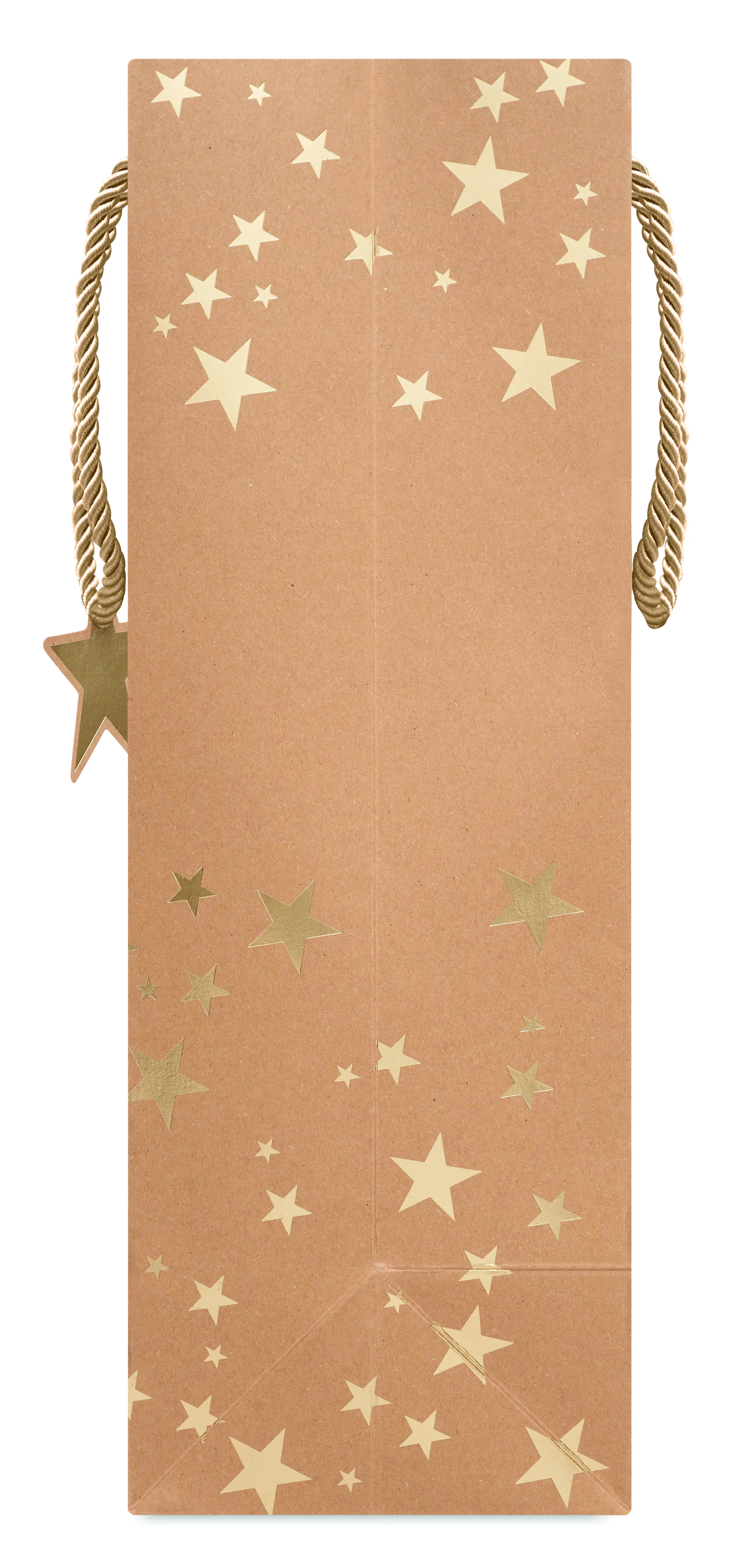 Kraftpapieren geschenkzak SPARKLE