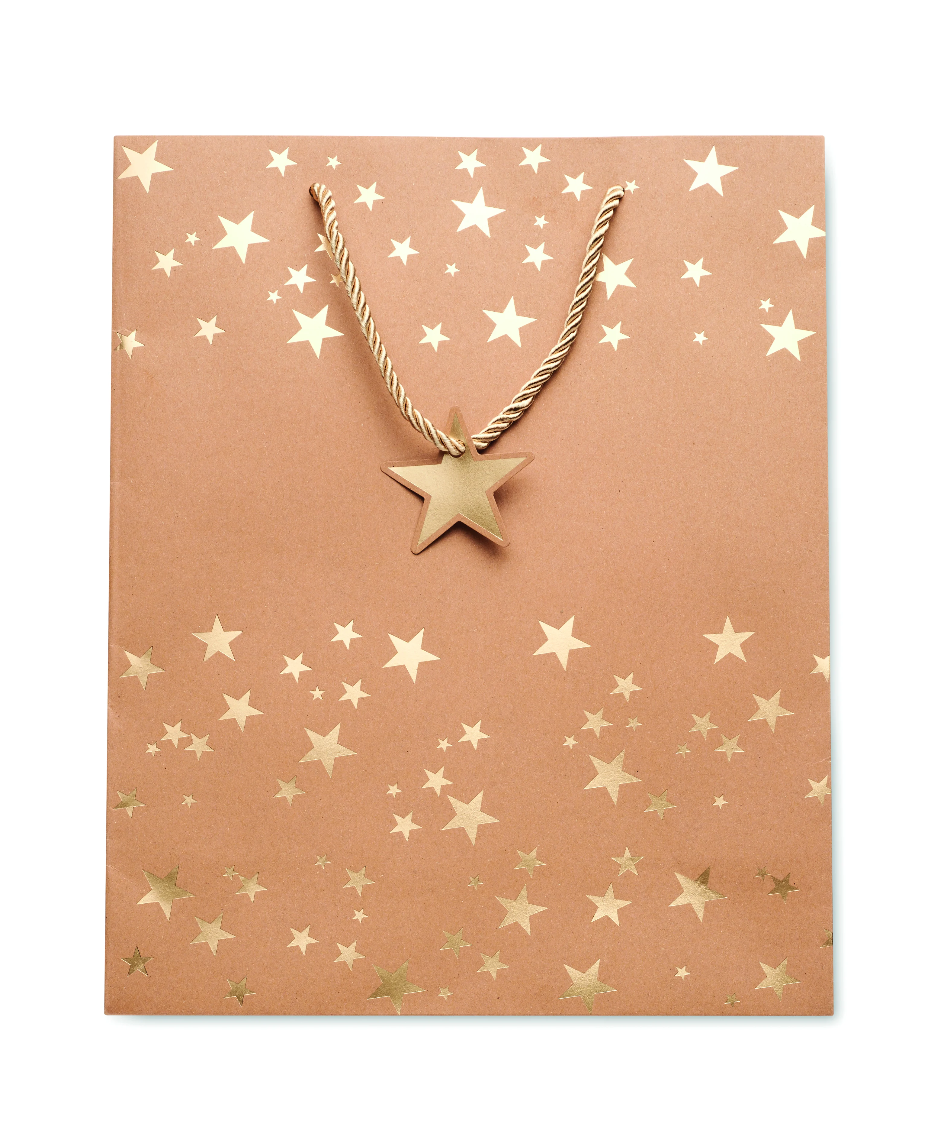 Kraftpapieren geschenkzak SPARKLE