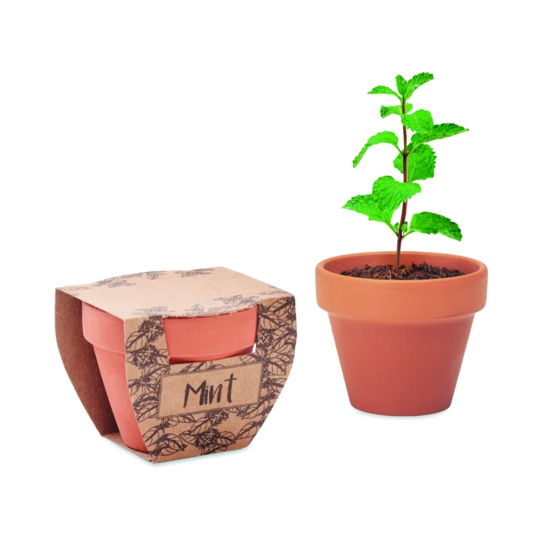 MINT POT Hout