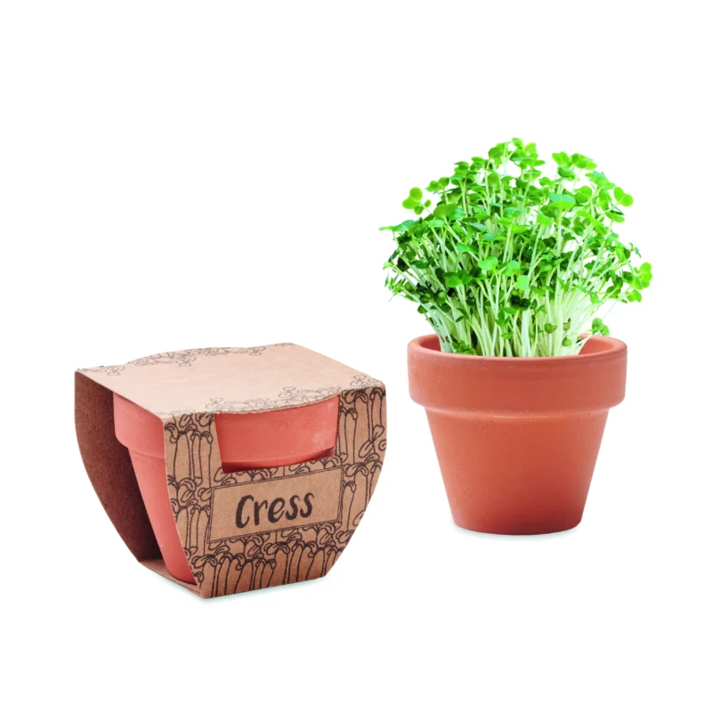 CRESS POT Hout