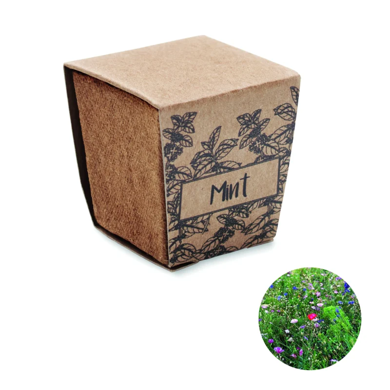 Muntzaad kweekset MINT KIT Beige