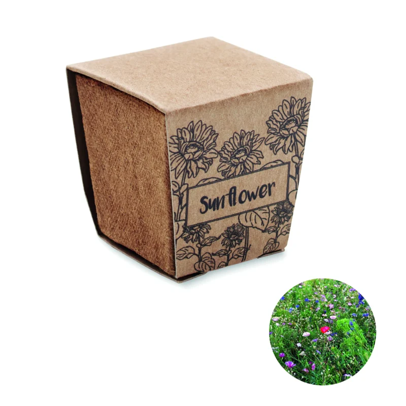 Zonnebloem kweekset SUNFLOWER KIT Beige