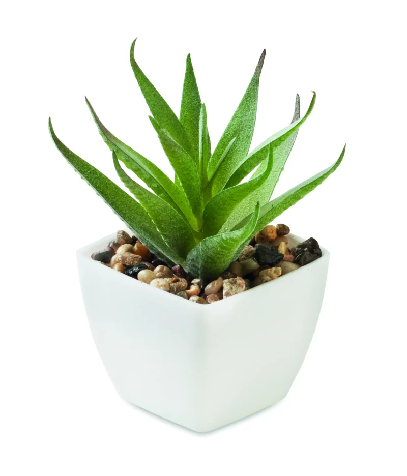 Mini kunstplant ARTILOE Wit