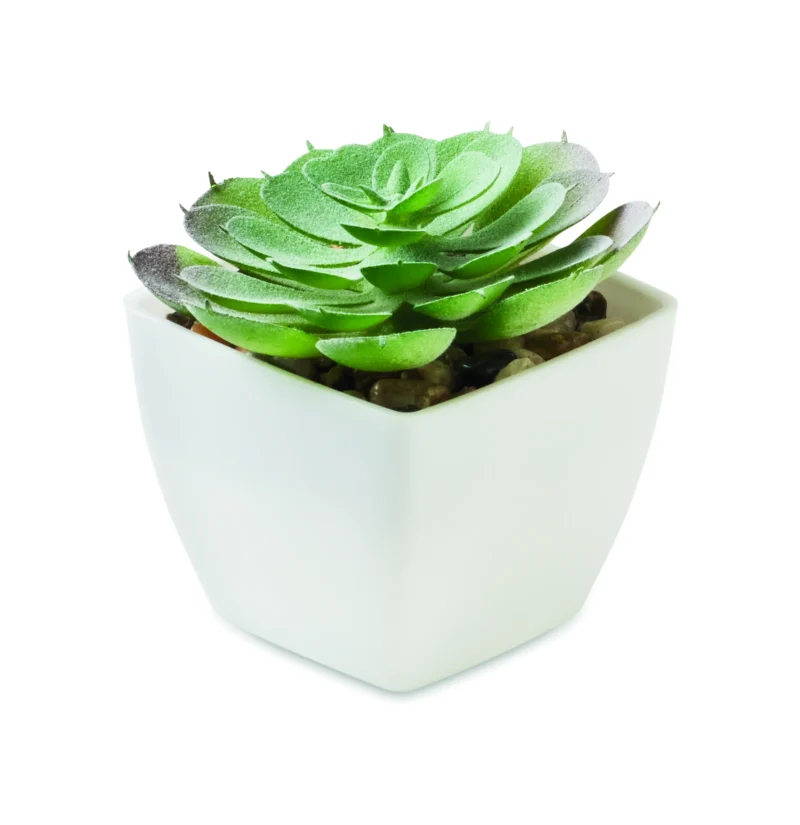 Mini kunstplant ARTIECHE Wit